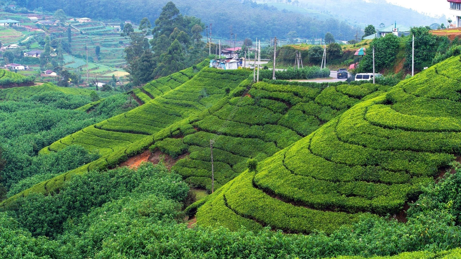 Holiday Attractions in Sri Lanka